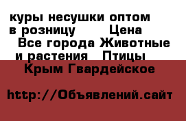 куры несушки.оптом 160 в розницу 200 › Цена ­ 200 - Все города Животные и растения » Птицы   . Крым,Гвардейское